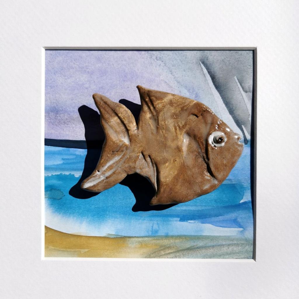 Doktorfisch